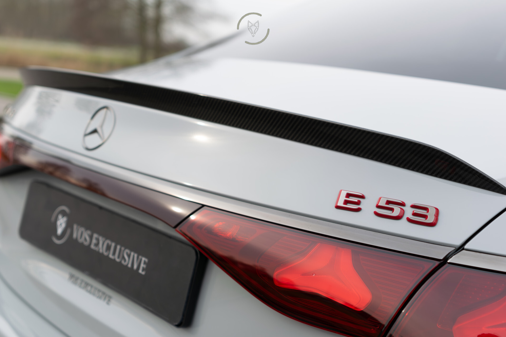 Mercedes-Benz E-Klasse AMG 53 4MATIC+ Edition 1 Alpingrau | Night | Carbon | Real Performance Sound | 360°Camera | Burmester 4D | MBUX Superscreen Foto 28